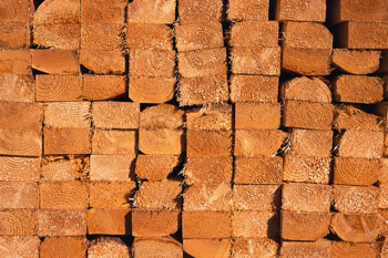 Lumber Lumber